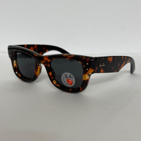 Ray-Ban Polarized Classic Bold Black Sunglasses